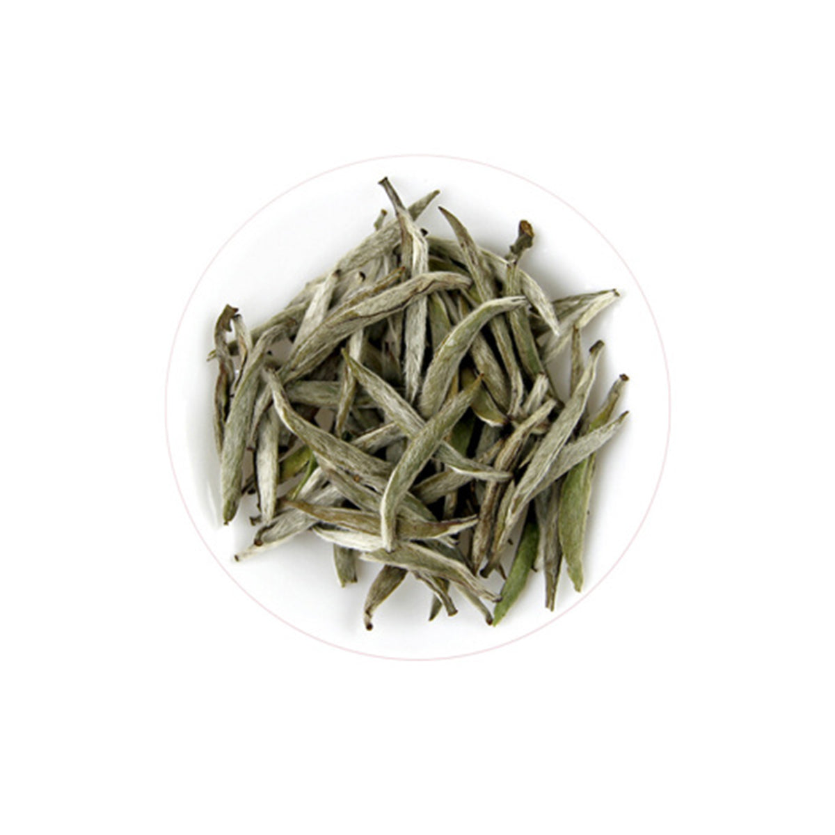 Silver needle Pekoe Tin